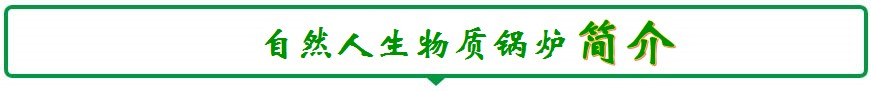 自然人生物質(zhì)鍋爐廠家簡(jiǎn)介